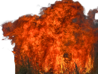 Burning Fire Isolated on a Transparent Background PNG