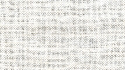 Fototapeta premium Professional Horizontal White Canvas Background Material for Design Projects