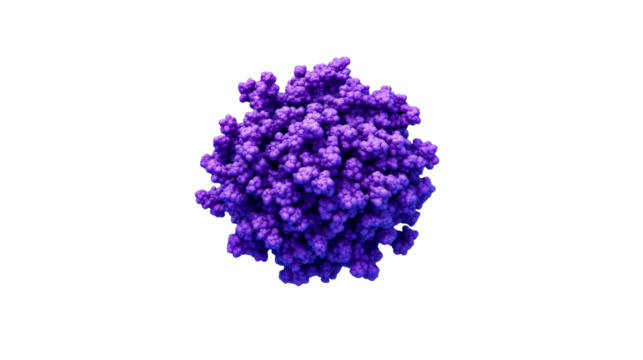 Protein structure in purple on black background, cut out transparent