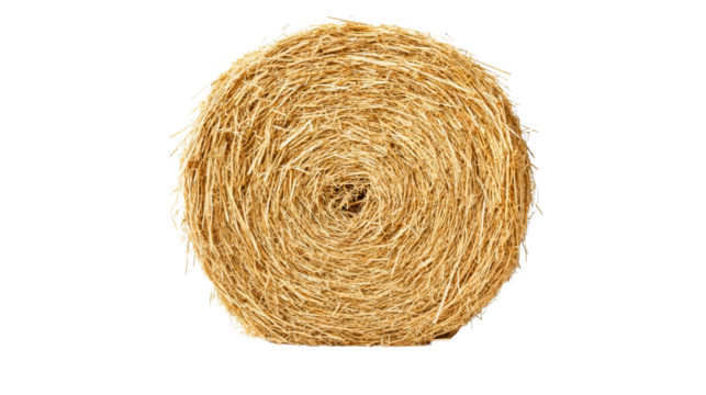 Round hay bale rolled, straw roll on black background, cut out transparent