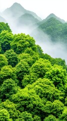 A majestic mountain range surrounded by lush greenery and towering trees creating a stunning natural landscape