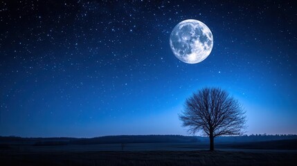 Majestic Tree Silhouette Under Bright Full Moon and Starry Night Sky in Tranquil Landscape