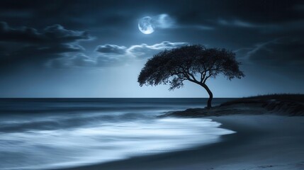 Serene Silhouette of a Tree at the Beach Under a Bright Moonlight in the Dark Night Sky