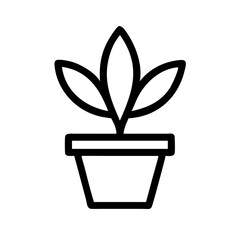 Potted Plant