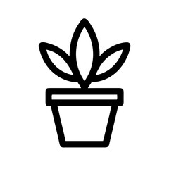 Potted Plant