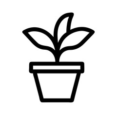 Potted Plant