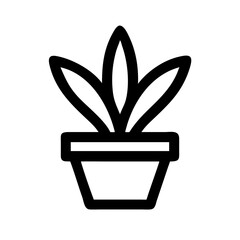 Potted Plant