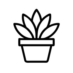 Potted Plant