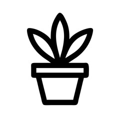 Potted Plant