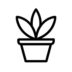 Potted Plant