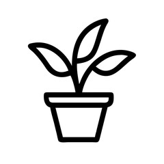 Potted Plant
