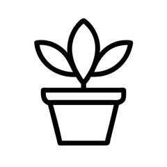 Potted Plant