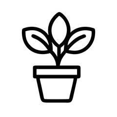 Potted Plant
