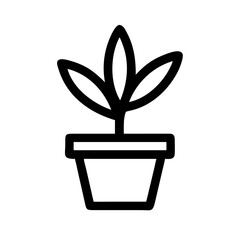 Potted Plant