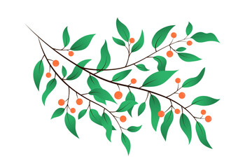 Berries and leaves branch isolated vector clipart illustration. Twigs on white background. Delicate botanical element for designs. Natural decorative foliage plant clipart