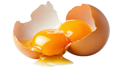 broken egg shell on transparent background