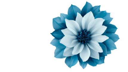 Elegant blue flower with a white center, floral beauty, cut out transparent
