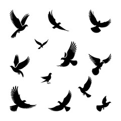 vector silhouettes set of birds