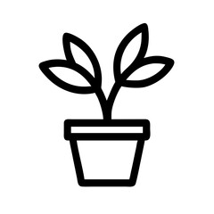 Potted Plant