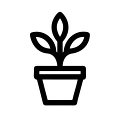 Potted Plant