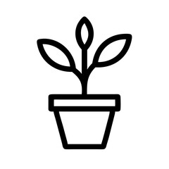 Potted Plant