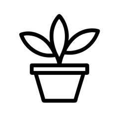 Potted Plant