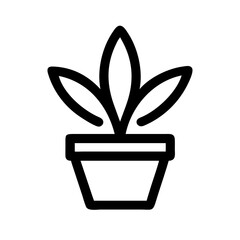 Potted Plant