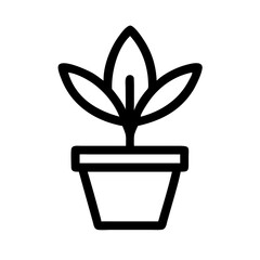 Potted Plant
