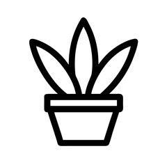 Potted Plant