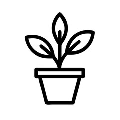 Potted Plant