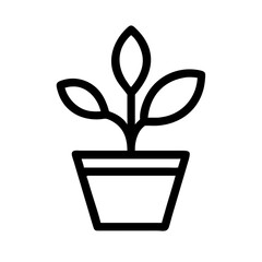 Potted Plant