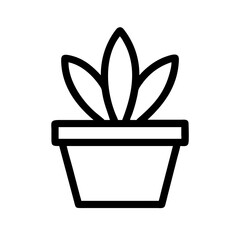 Potted Plant