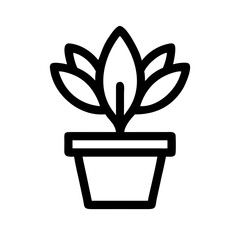 Potted Plant