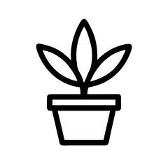 Potted Plant