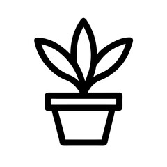 Potted Plant
