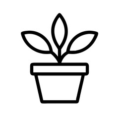 Potted Plant