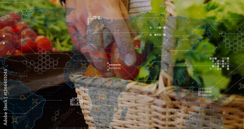Poster hand placing tomato in basket with world map and data processing animation