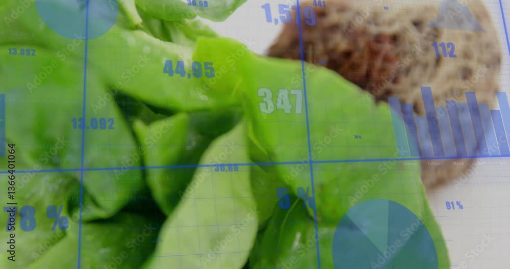Poster financial data charts and graphs overlaying animation of lettuce leaves