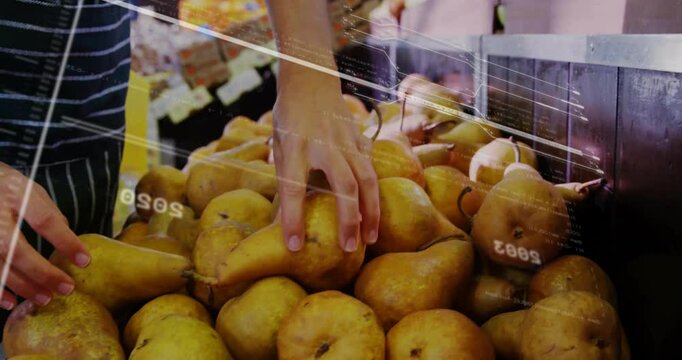 Hand selecting pears with data processing animation overlaying in orchard scene