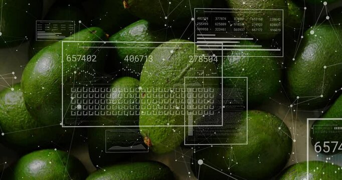 Digital data processing animation overlaying avocados in modern technology concept