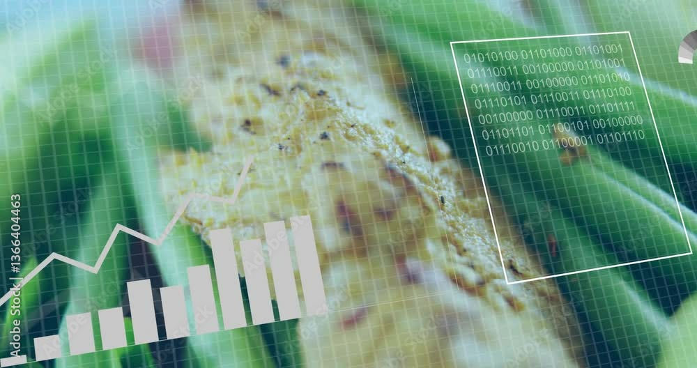 Poster bar graph and binary code animation over close-up of corn plant