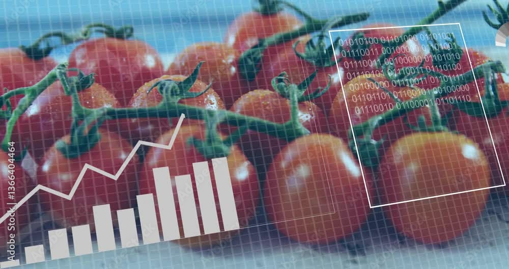 Poster tomatoes with data processing animation showing graphs and binary code overlay