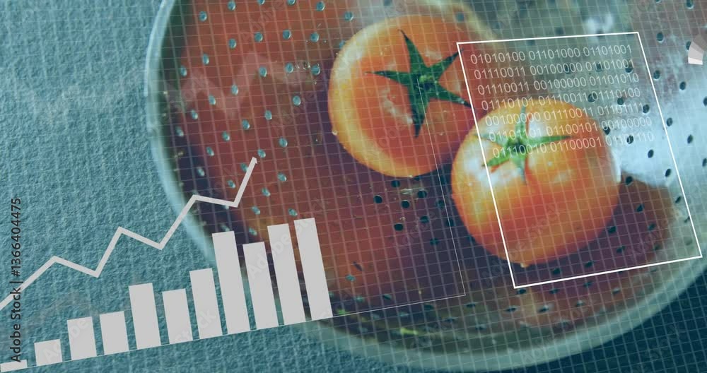 Poster data processing animation overlaying tomatoes in colander with graphs and binary code