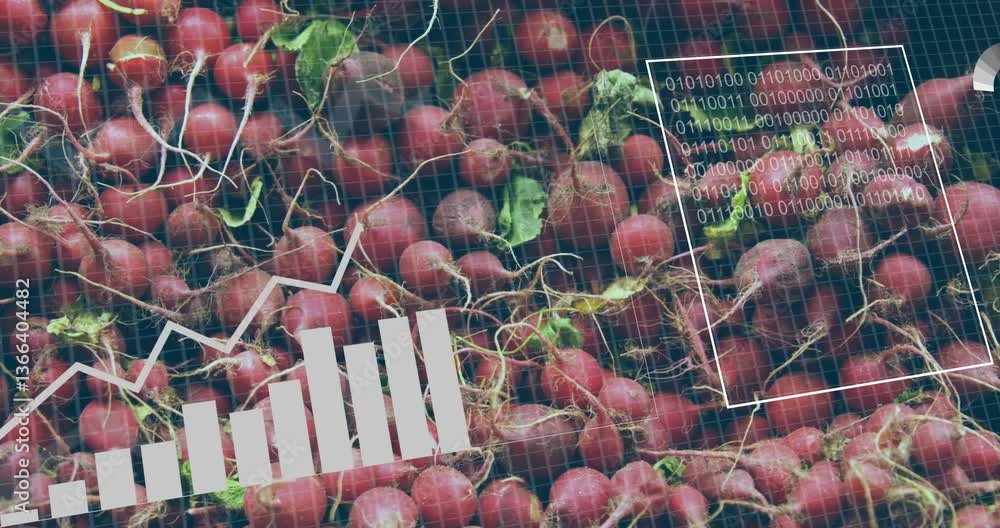 Poster graph and binary code animation over radishes in agricultural setting