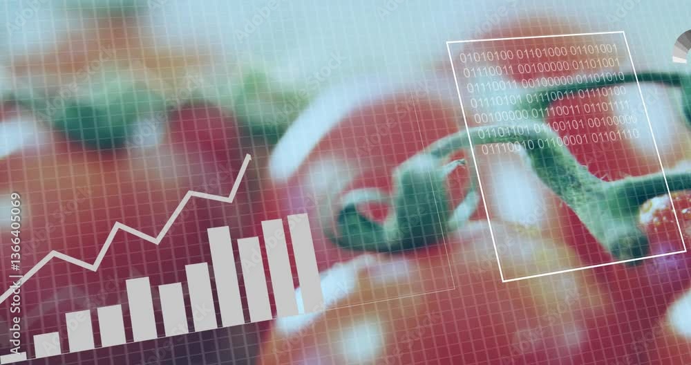 Poster bar graph and binary code animation over close-up of tomatoes