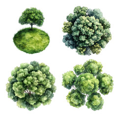 green grass isolated on white background, Set of watercolor tree top view for landscape plan and architecture layout