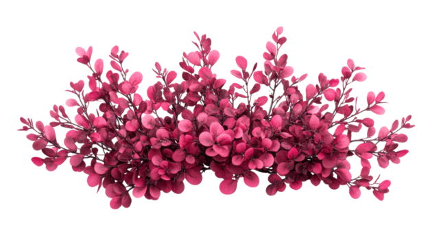 Decorative pink bush with lush foliage and delicate branches, cut out transparent