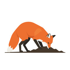 Obraz premium A playful red fox digging in the dirt with a flat design style, showcasing its vibrant fur and curious expression in this engaging vector art
