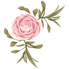 Elegant Watercolor Floral Clipart Frames 