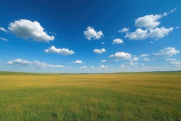 Idyllic landscape of vast green and yellow fields under a clear blue sky with fluffy clouds.